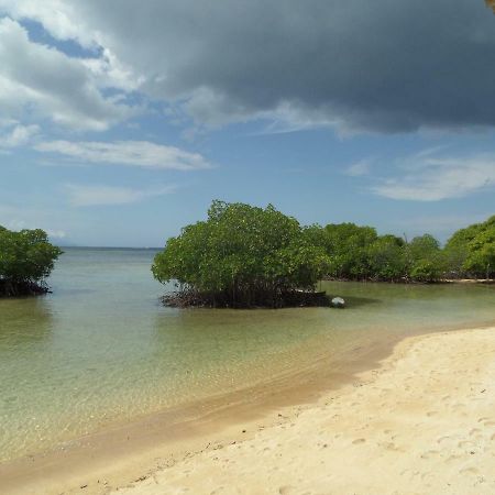 Mangrove Paradise Retreat Нуса-Лембонган Екстер'єр фото