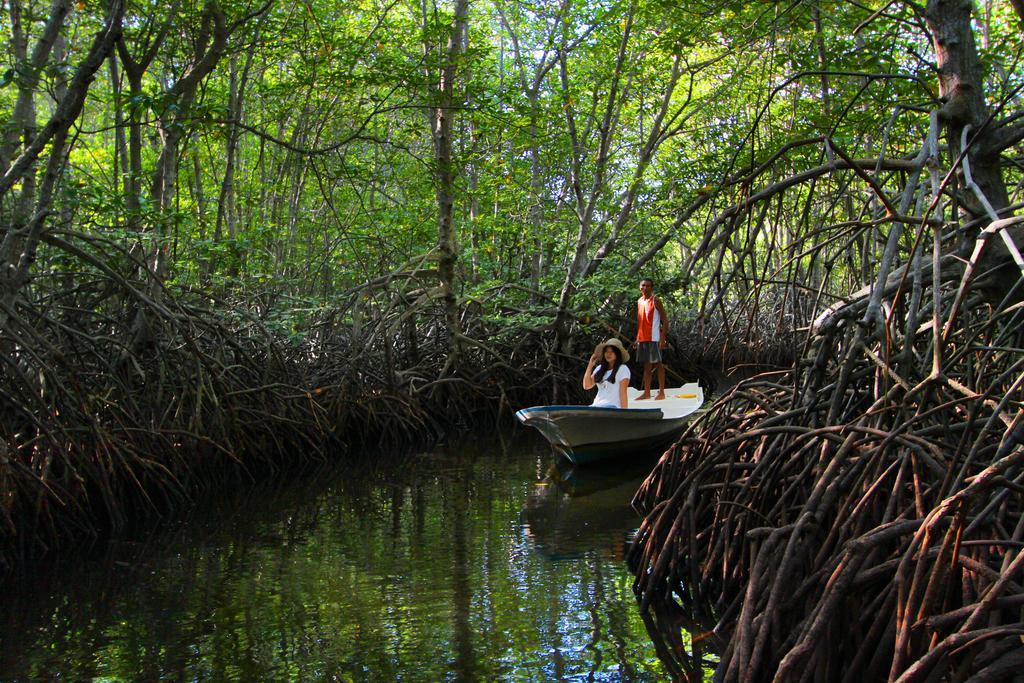 Mangrove Paradise Retreat Нуса-Лембонган Екстер'єр фото